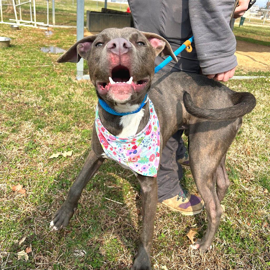 Smithereens — thumbnail 3