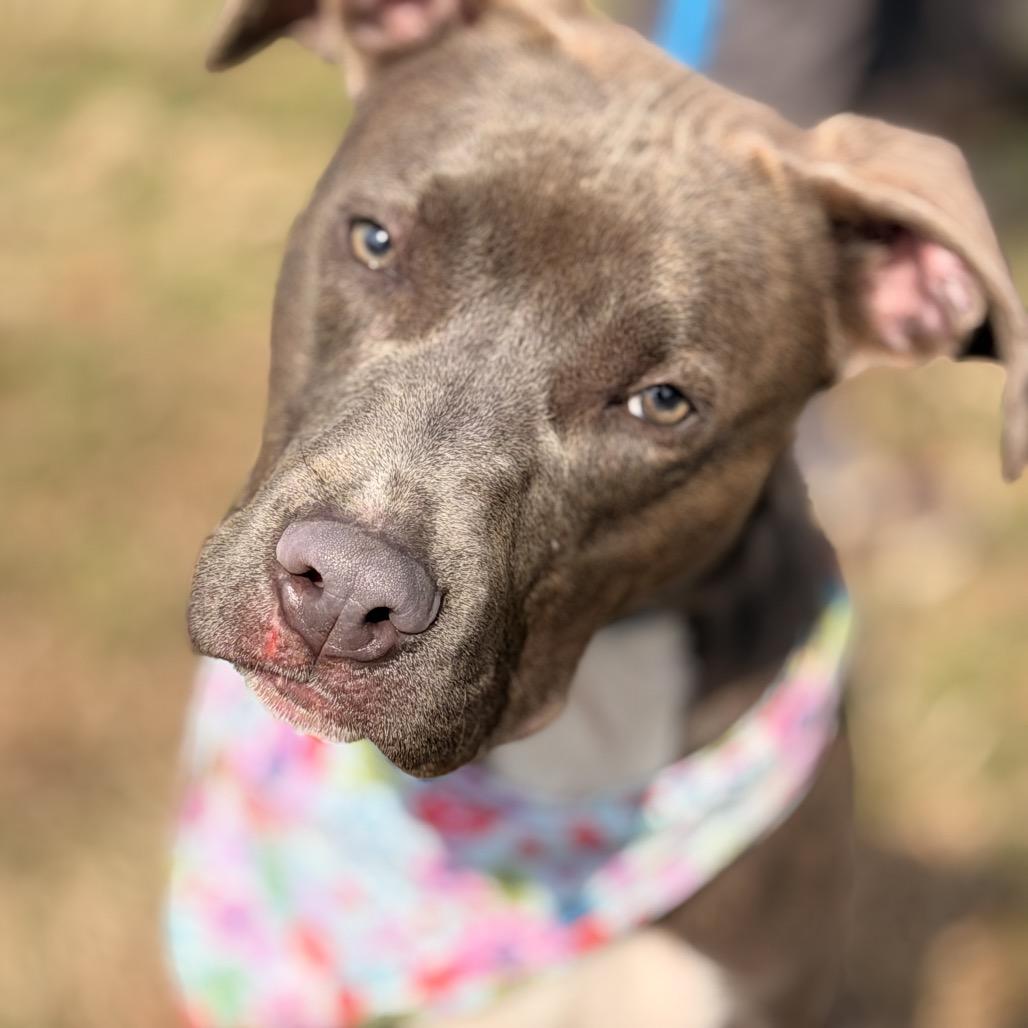 Smithereens — thumbnail 6