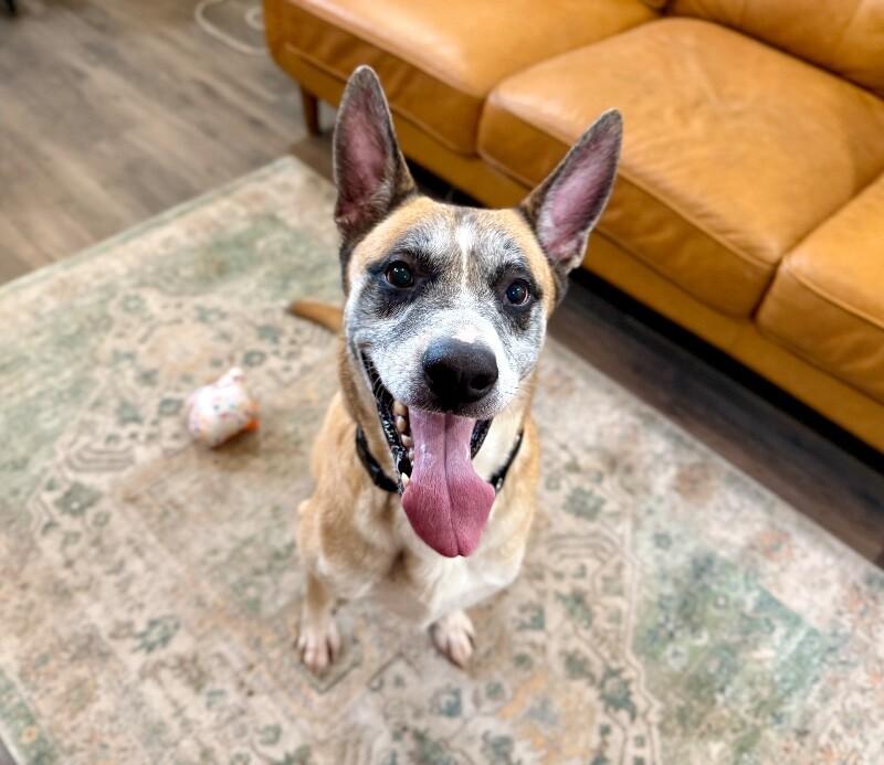 Kaiser Cruz Ready for the Good Life — thumbnail 3