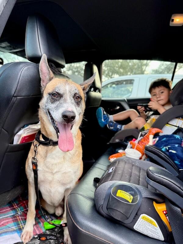 Kaiser Cruz Ready for the Good Life — thumbnail 5