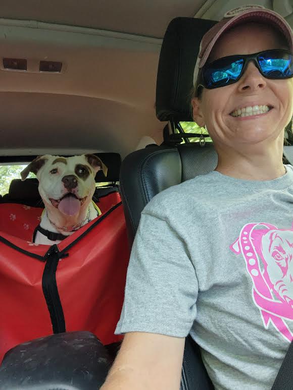 Kahlua, a Adopted Pit Bull Terrier in west creek, NJ image 2/5