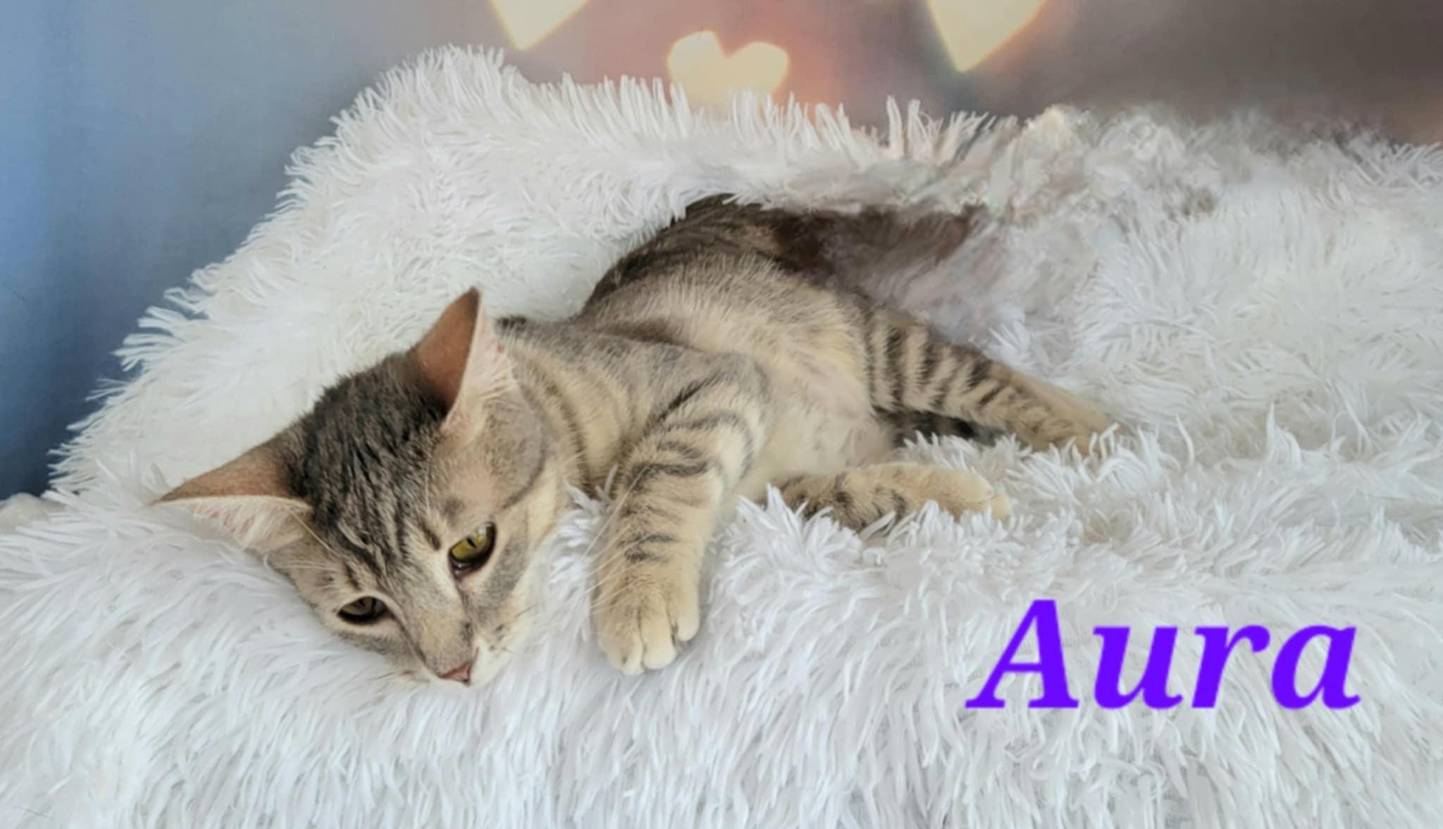 Aura