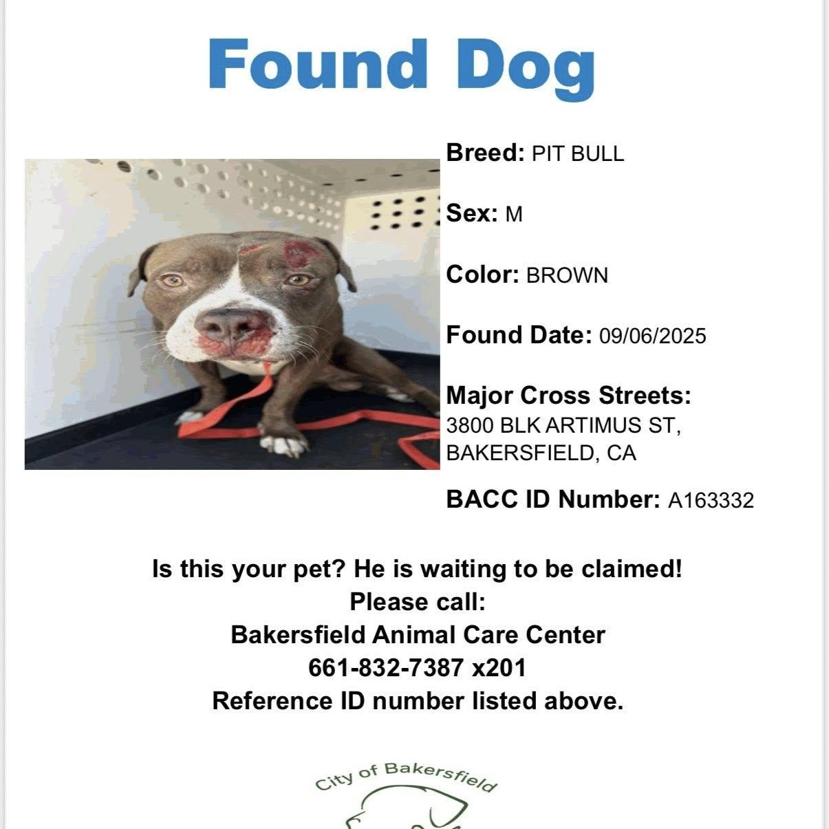 Enlarge ZIGGY, an adoptable mixed breed in La Honda, CA image 4/6