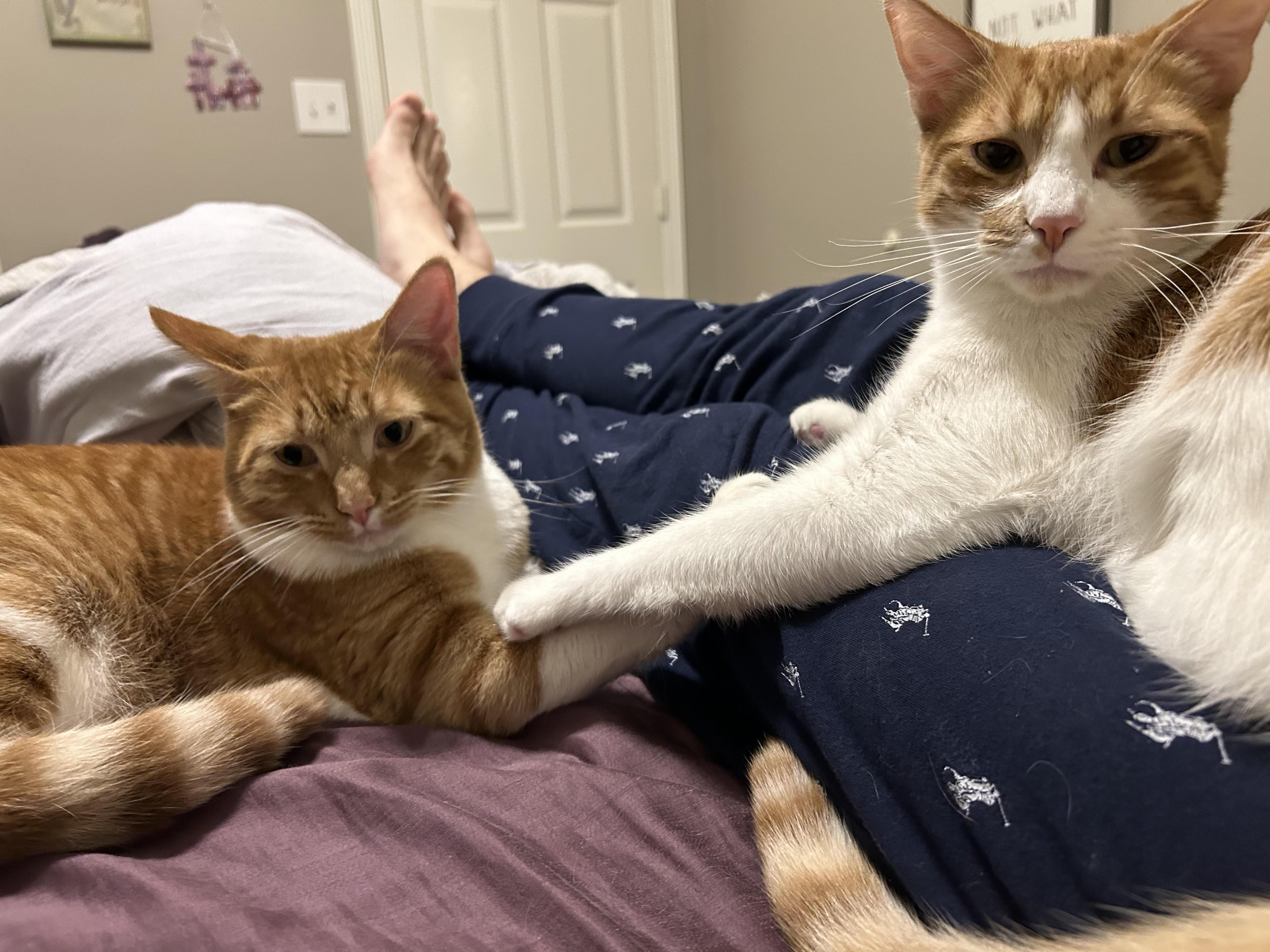 Norman and Gilbert