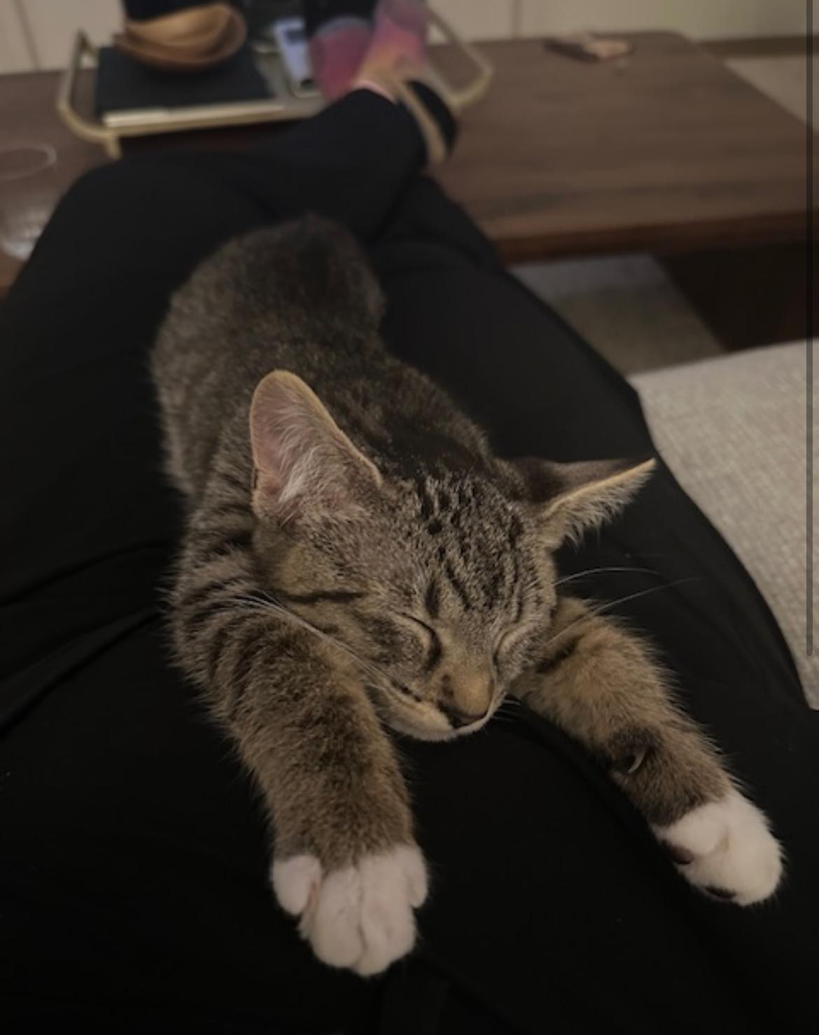 Odette - New Bio and New Images*