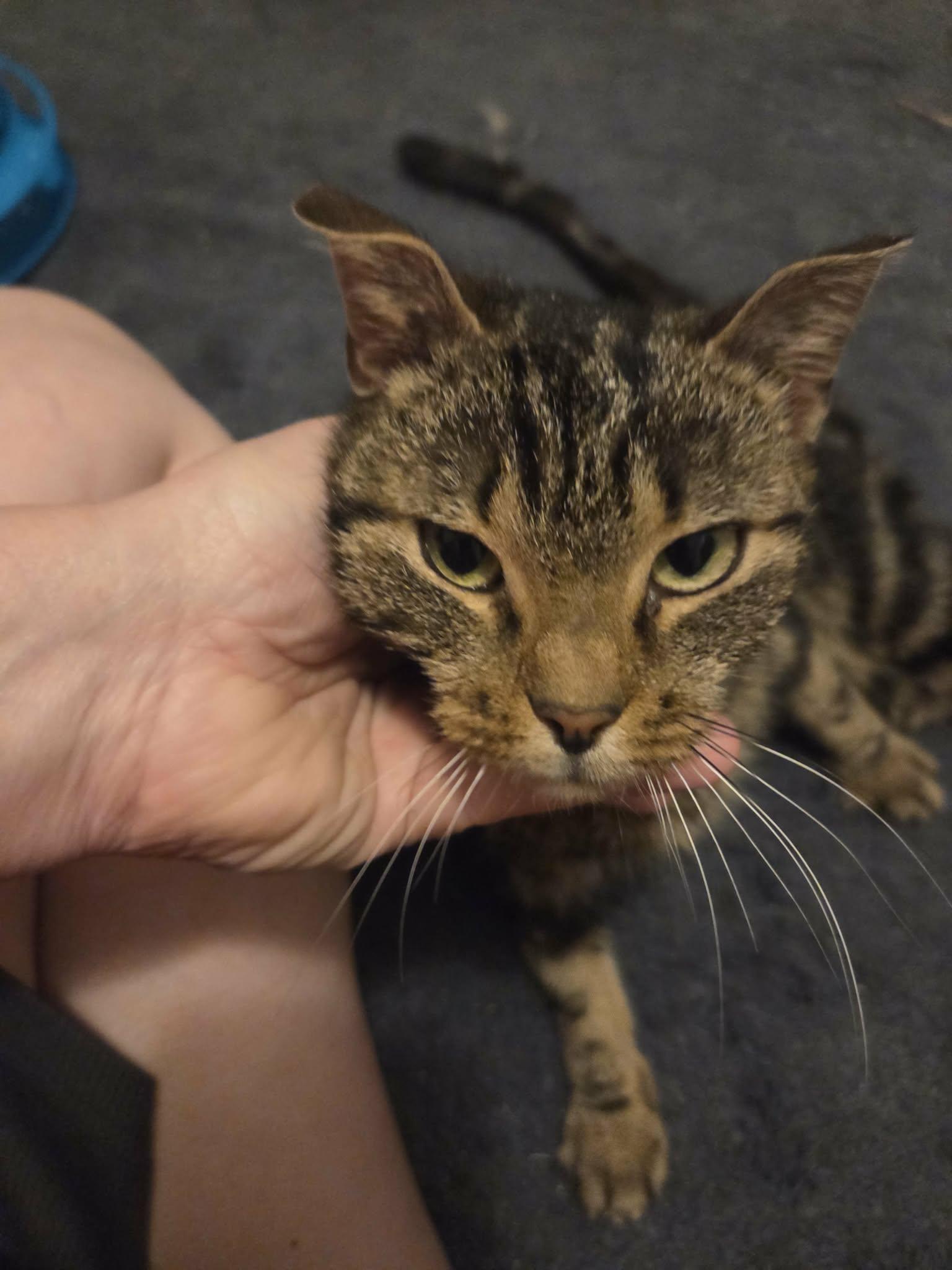 Vivienne — thumbnail 3