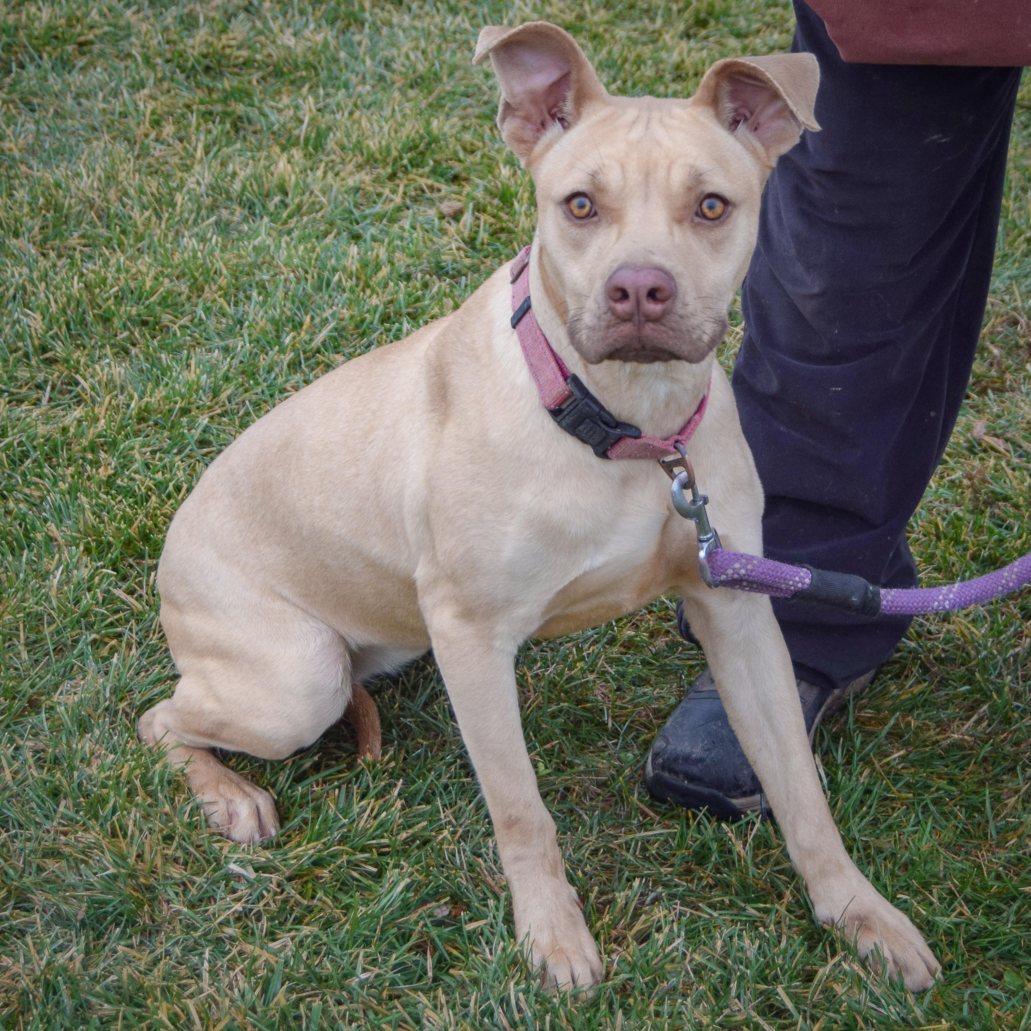 Charlize thumbnail 4