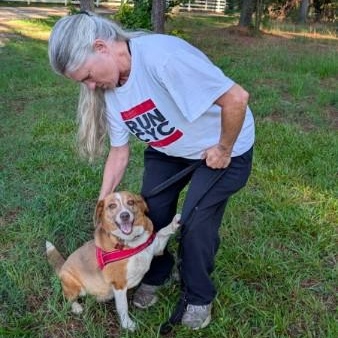 Lily - AVAILABLE TO FOSTER OR ADOPT, an adopted mixed breed in Clayton, NC image 6/6