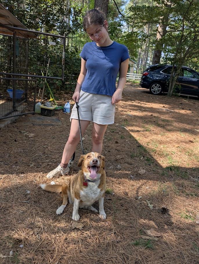 Lily - AVAILABLE TO FOSTER OR ADOPT, an adopted mixed breed in Clayton, NC image 3/6