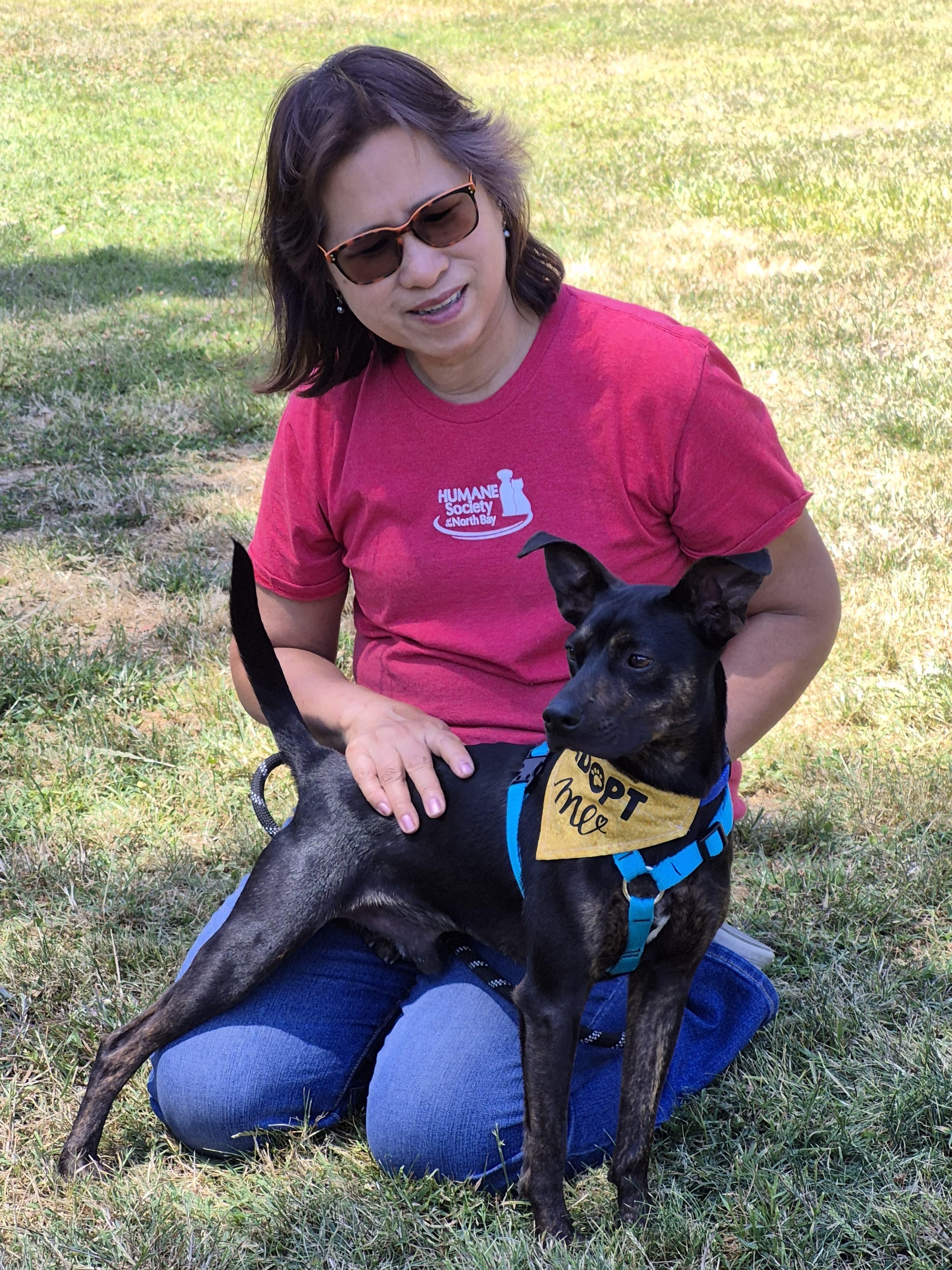 Enlarge Lil Man, a ADOPTABLE mixed breed in vallejo, CA image 2/6