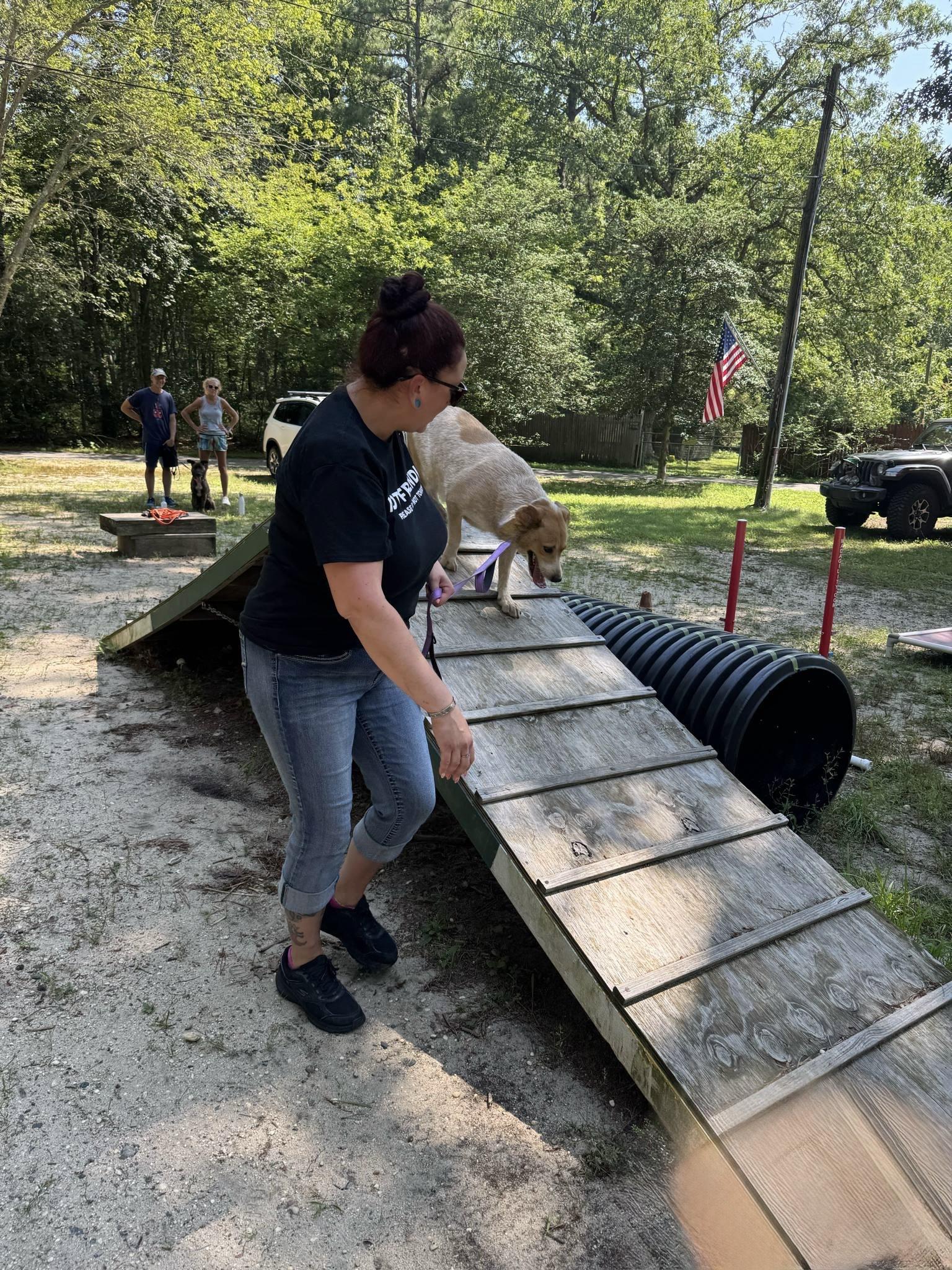 Maile - NJ, a Adoptable mixed breed in Whiting, NJ image 5/6