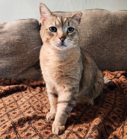 Garfield photo 2