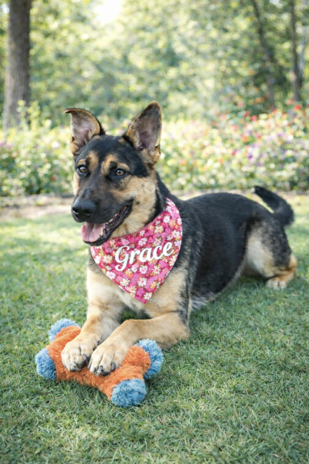 Grace — thumbnail 2