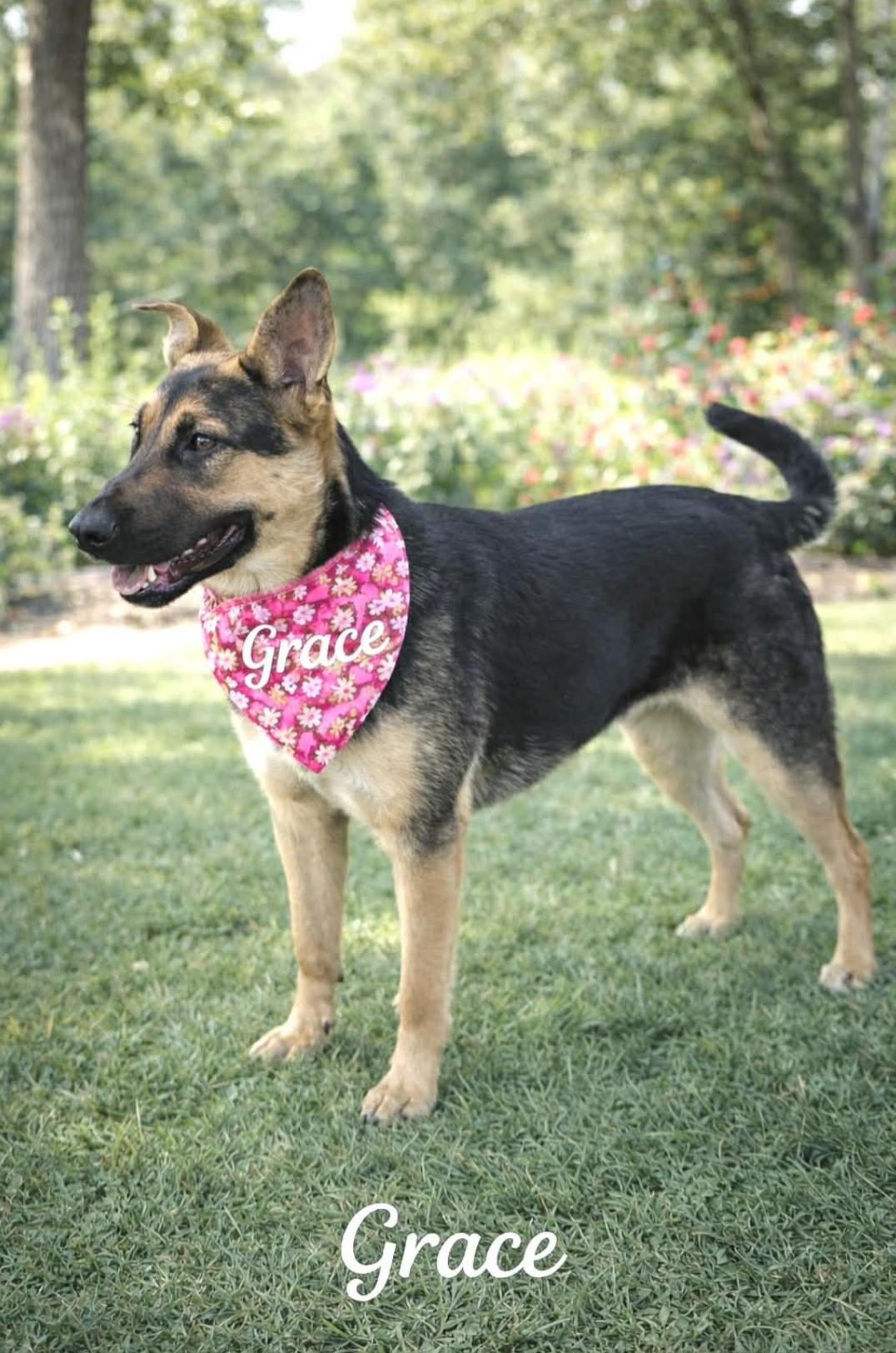 Grace — thumbnail 3