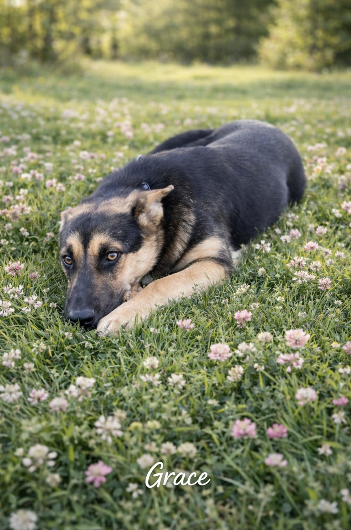 Grace — thumbnail 6