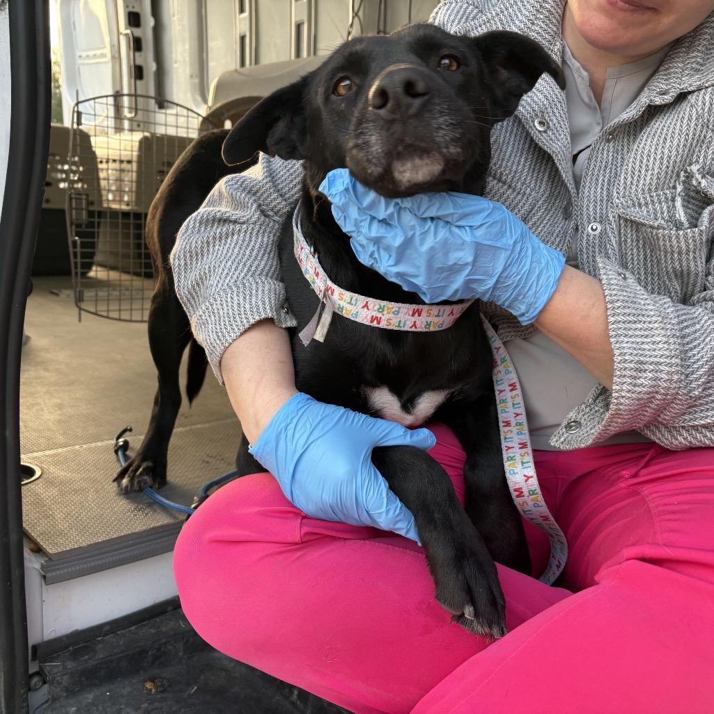 Serenity — thumbnail 2