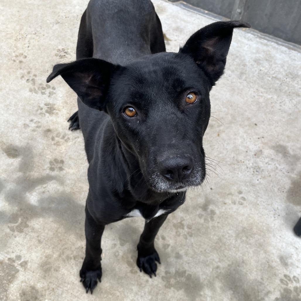 Serenity — thumbnail 3