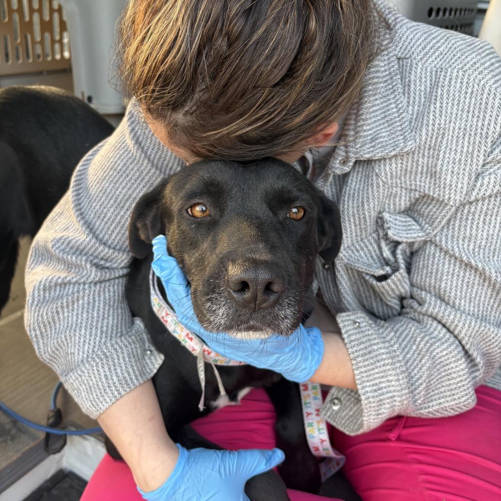 Serenity — thumbnail 4