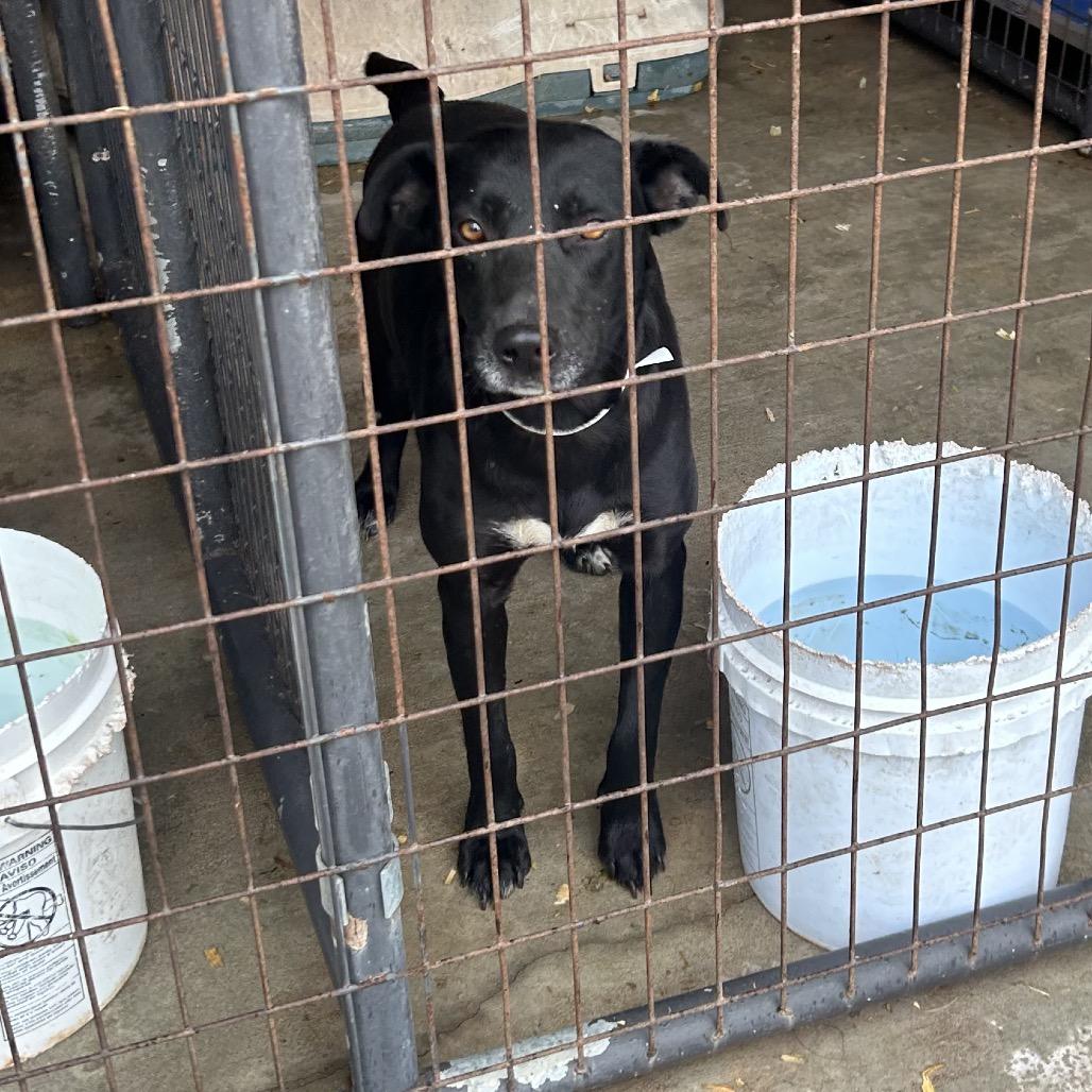 Serenity — thumbnail 5