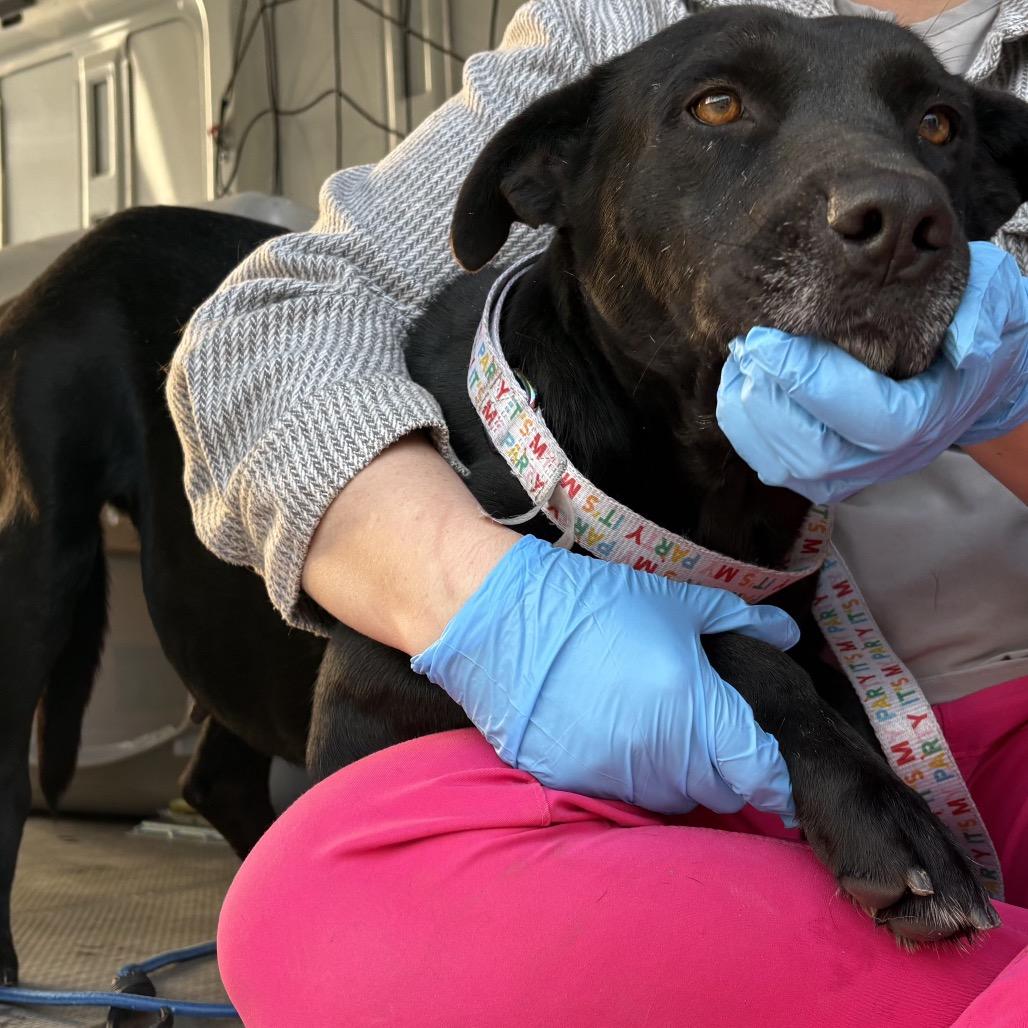 Serenity — thumbnail 6