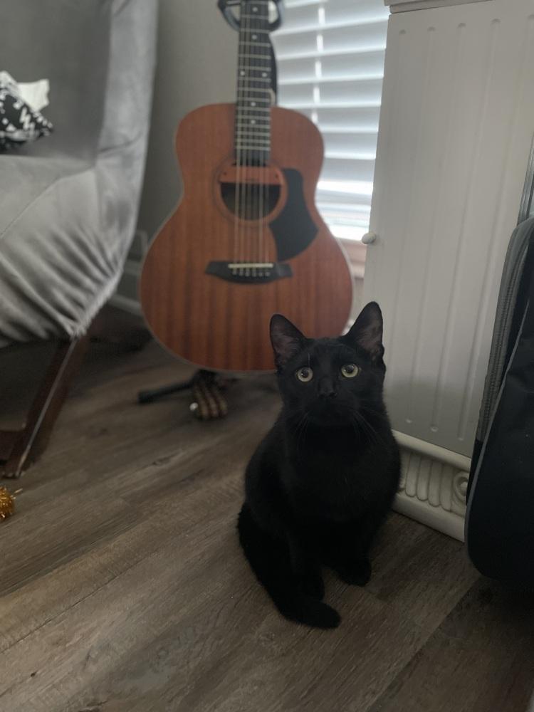 Sazerac — thumbnail 5