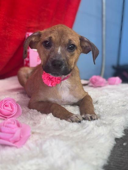 Millry — thumbnail 2