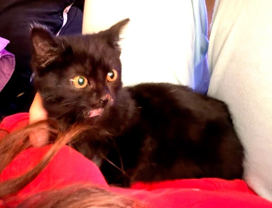 Board Game thumbnail 2