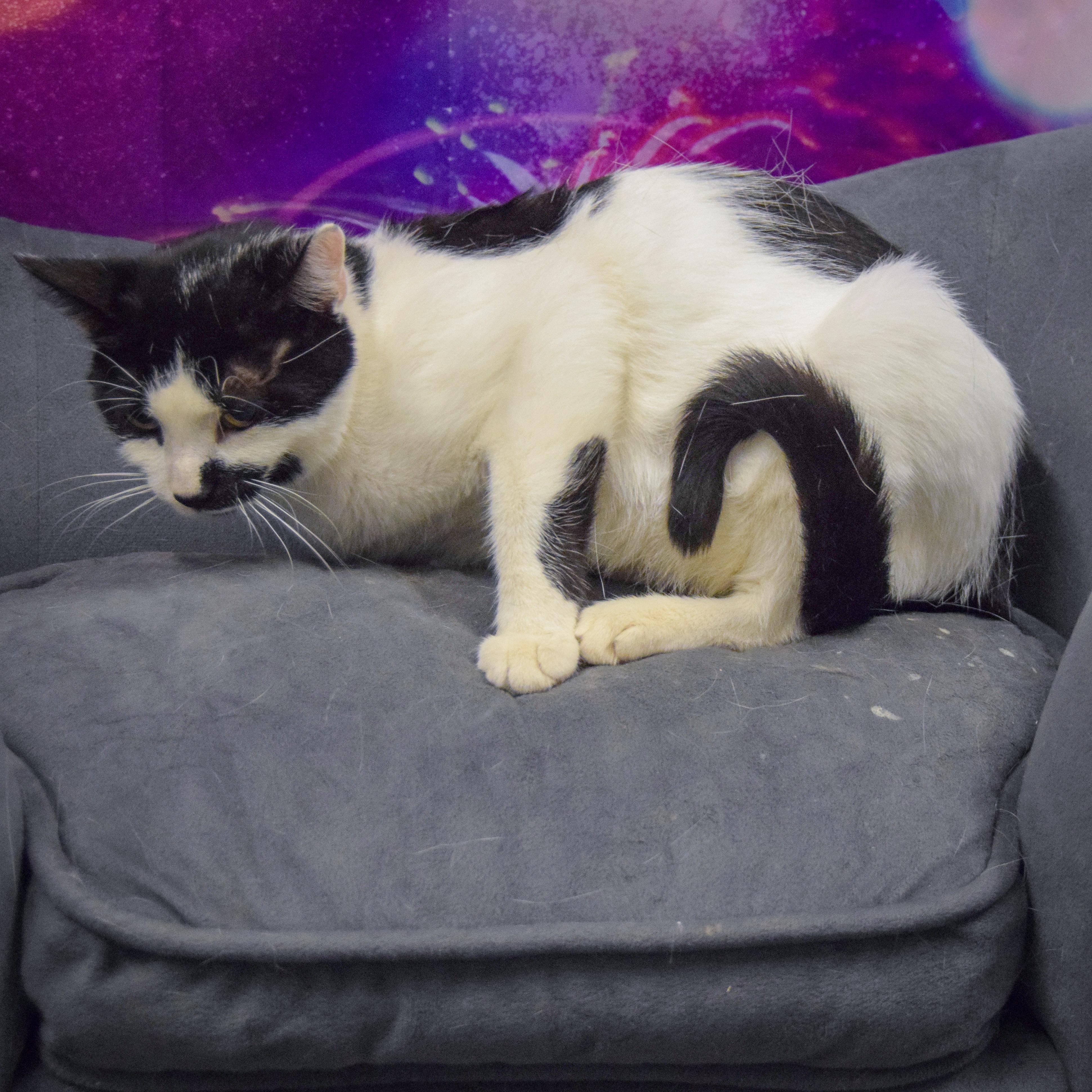 Mia