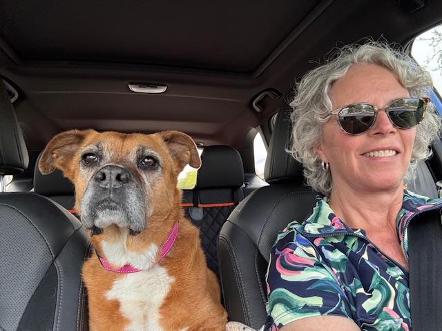 Enlarge Rosie, a ADOPTABLE mixed breed in Scottsdale, AZ image 2/6