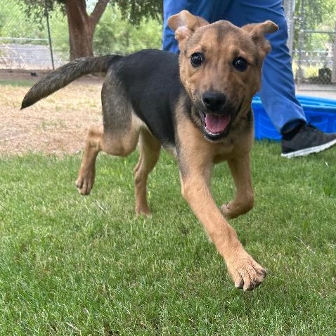 Posey, Baby Female unknown