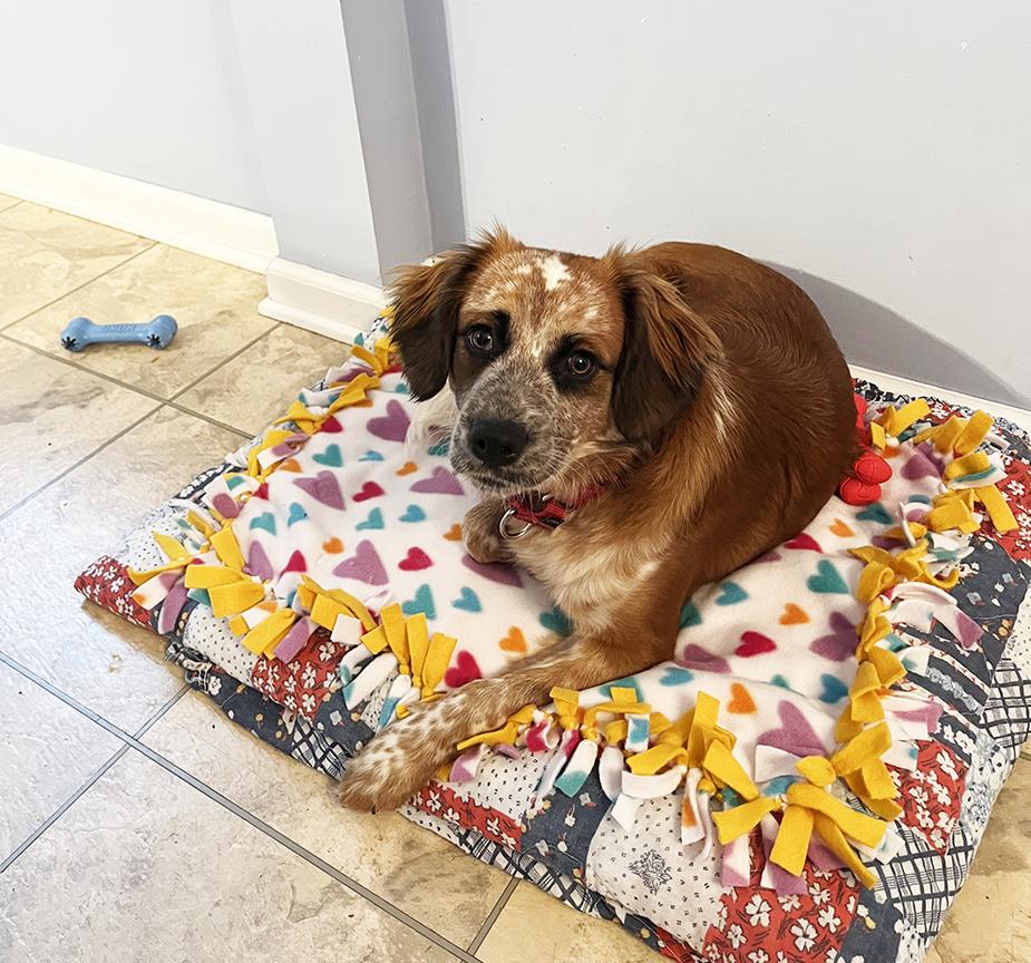 Puppy Summer thumbnail 2