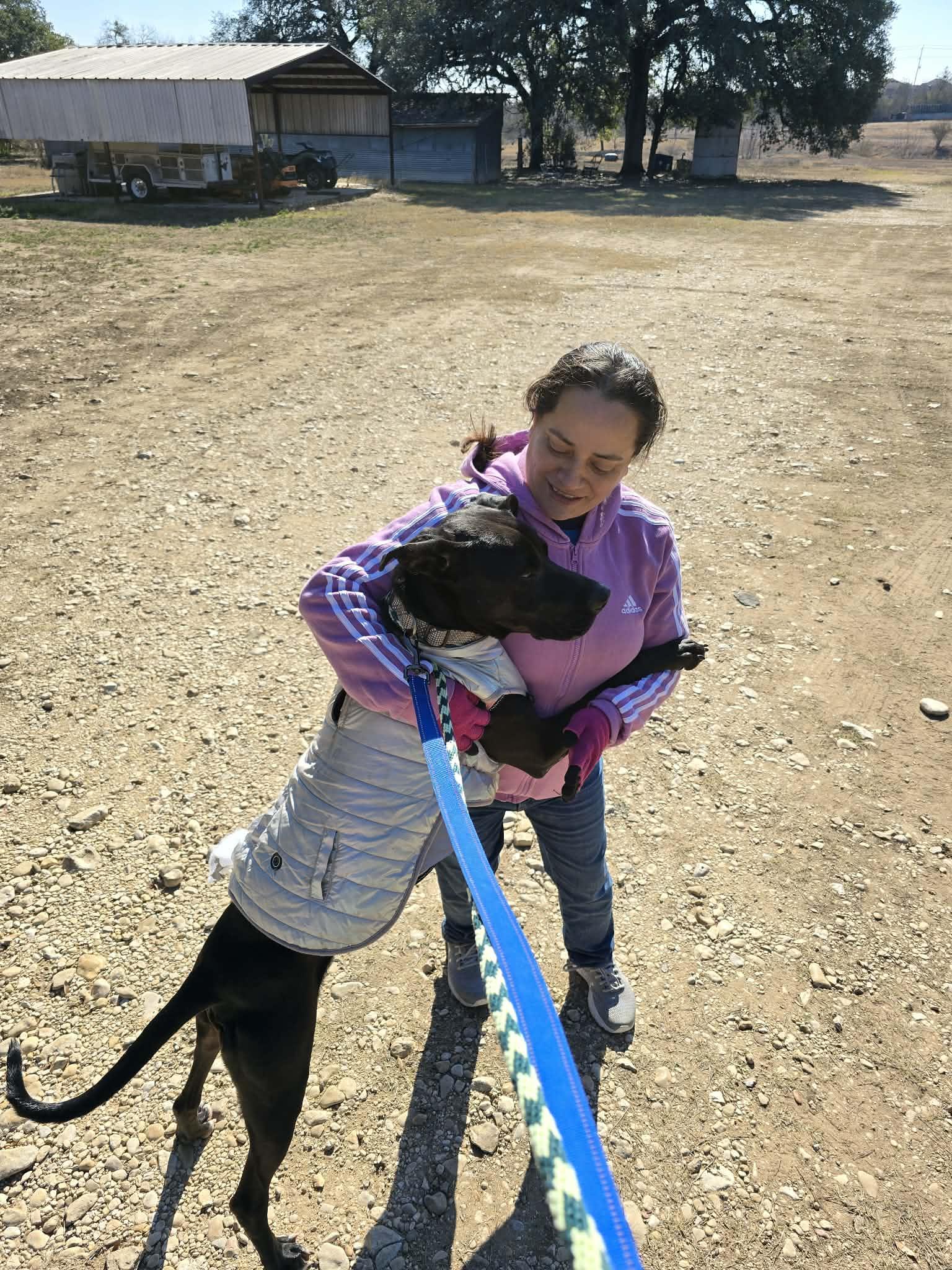 Enlarge Shadow, a ADOPTABLE mixed breed in Schertz, TX image 4/6