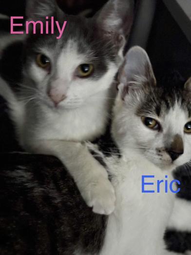 Eric & Emily