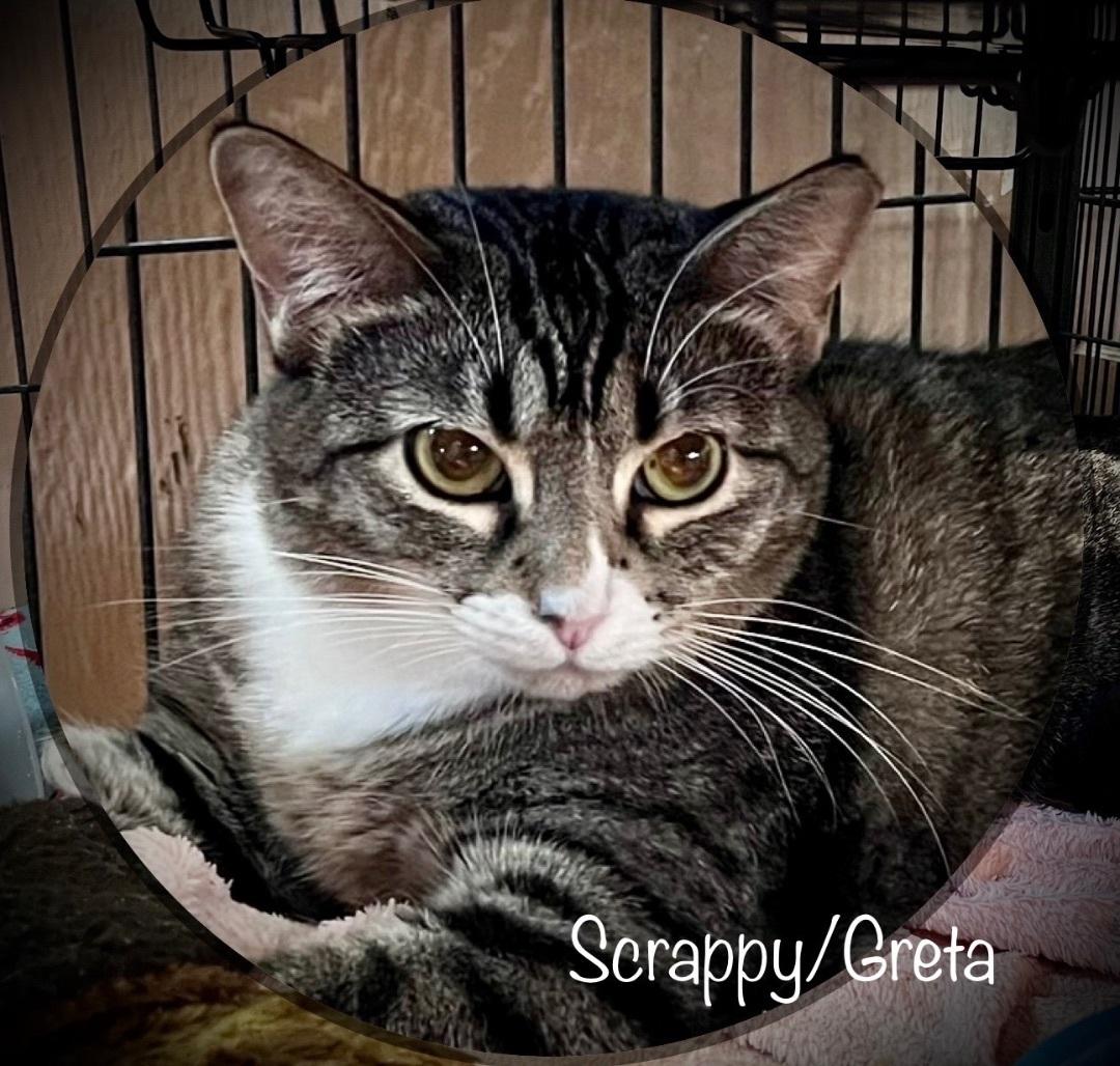 Greta