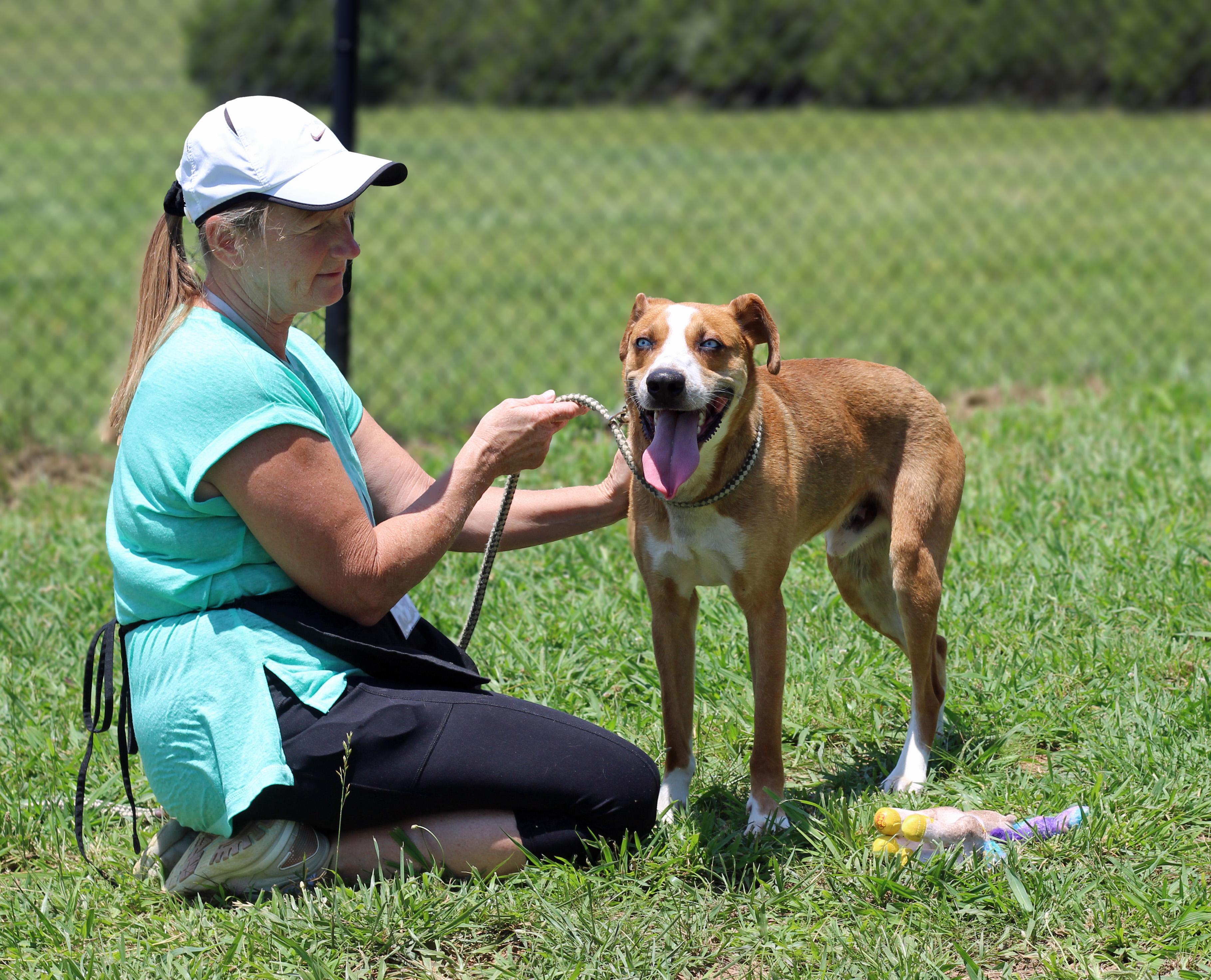 Enlarge Miller, a ADOPTABLE mixed breed in Lebanon, TN image 2/6
