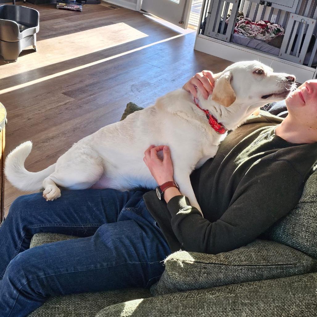 Enlarge Francis, a Adoptable Mixed Breed in Fredericksburg, VA image 3/6