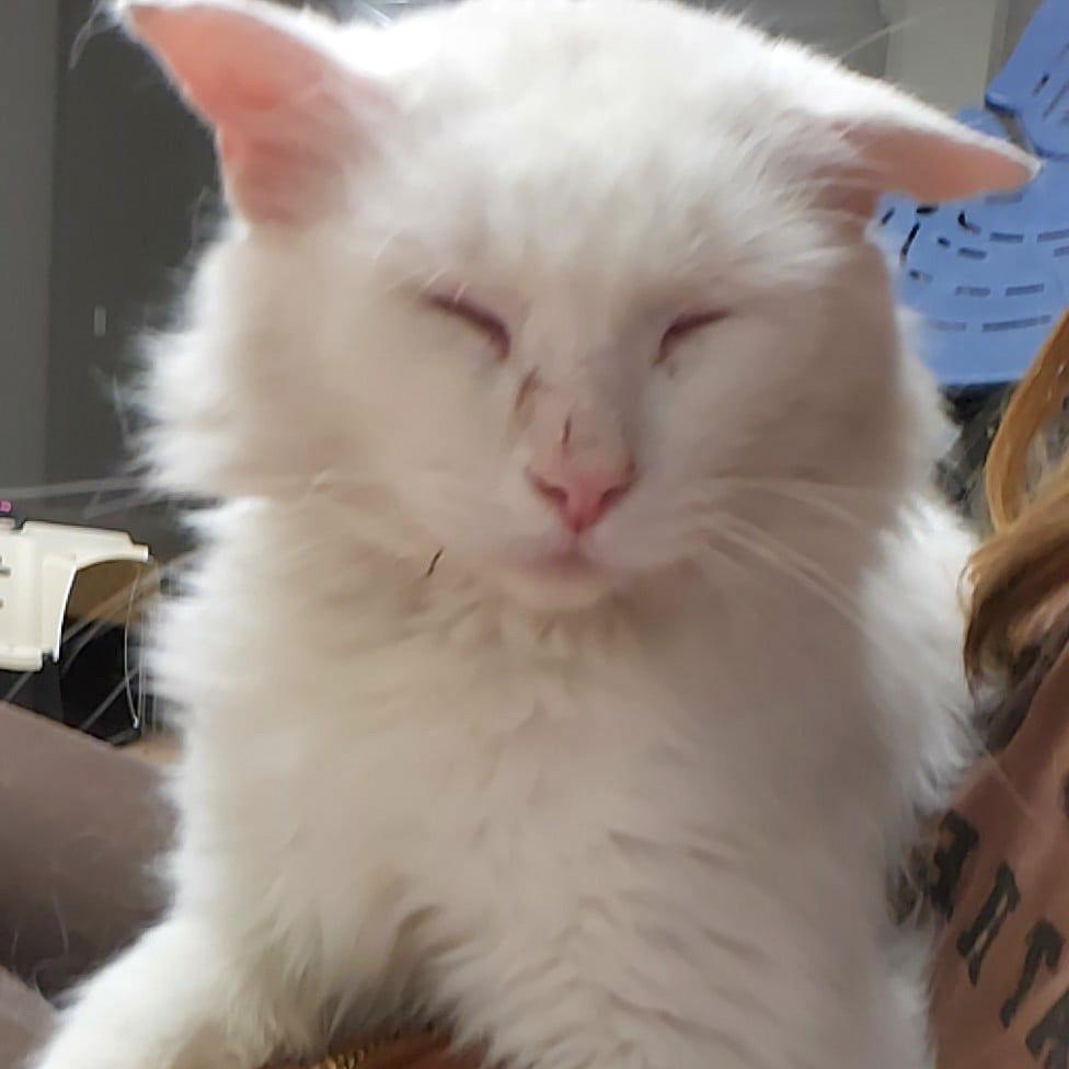 Casper — thumbnail 5