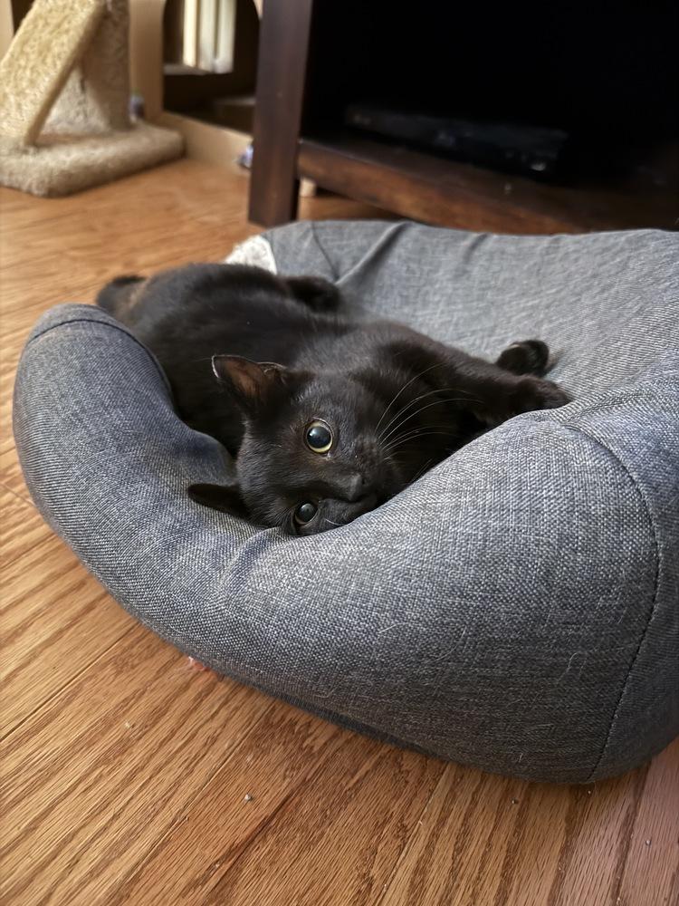 Bella Durmiente — thumbnail 3