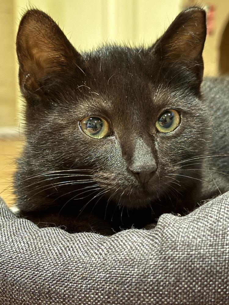 Bella Durmiente — thumbnail 6