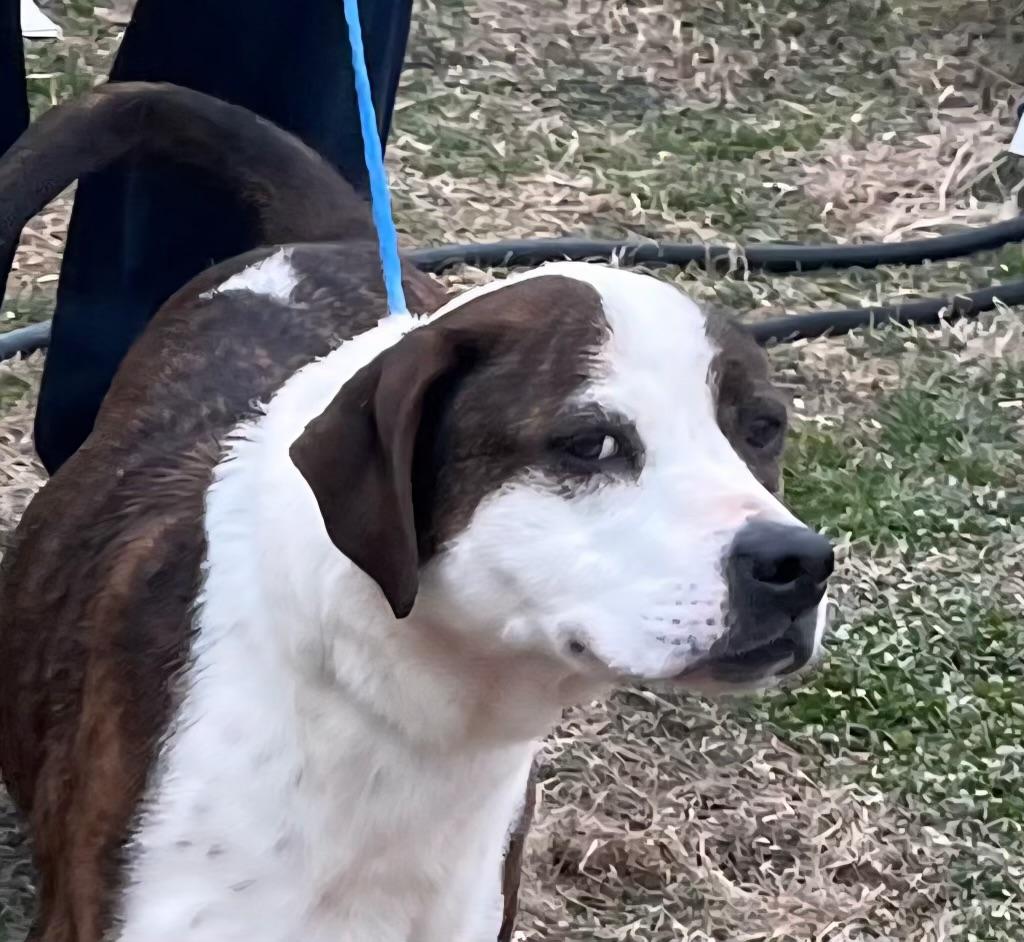 Penelope thumbnail 2