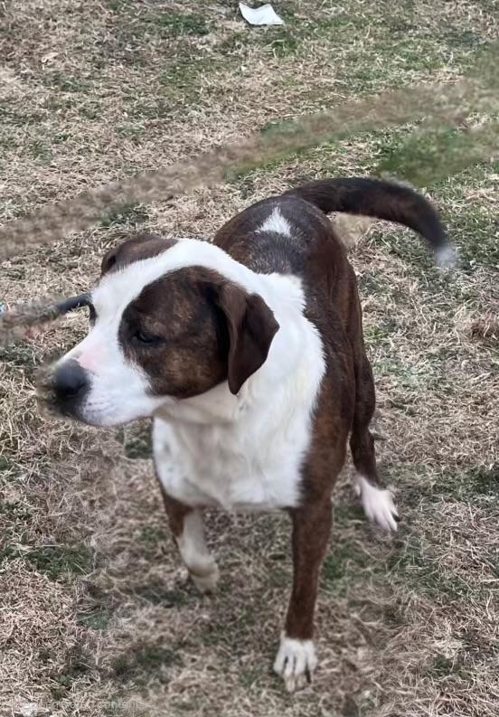 Penelope thumbnail 3