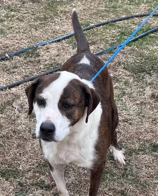 Penelope thumbnail 4