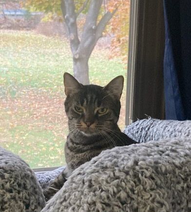 The Maxes thumbnail 4