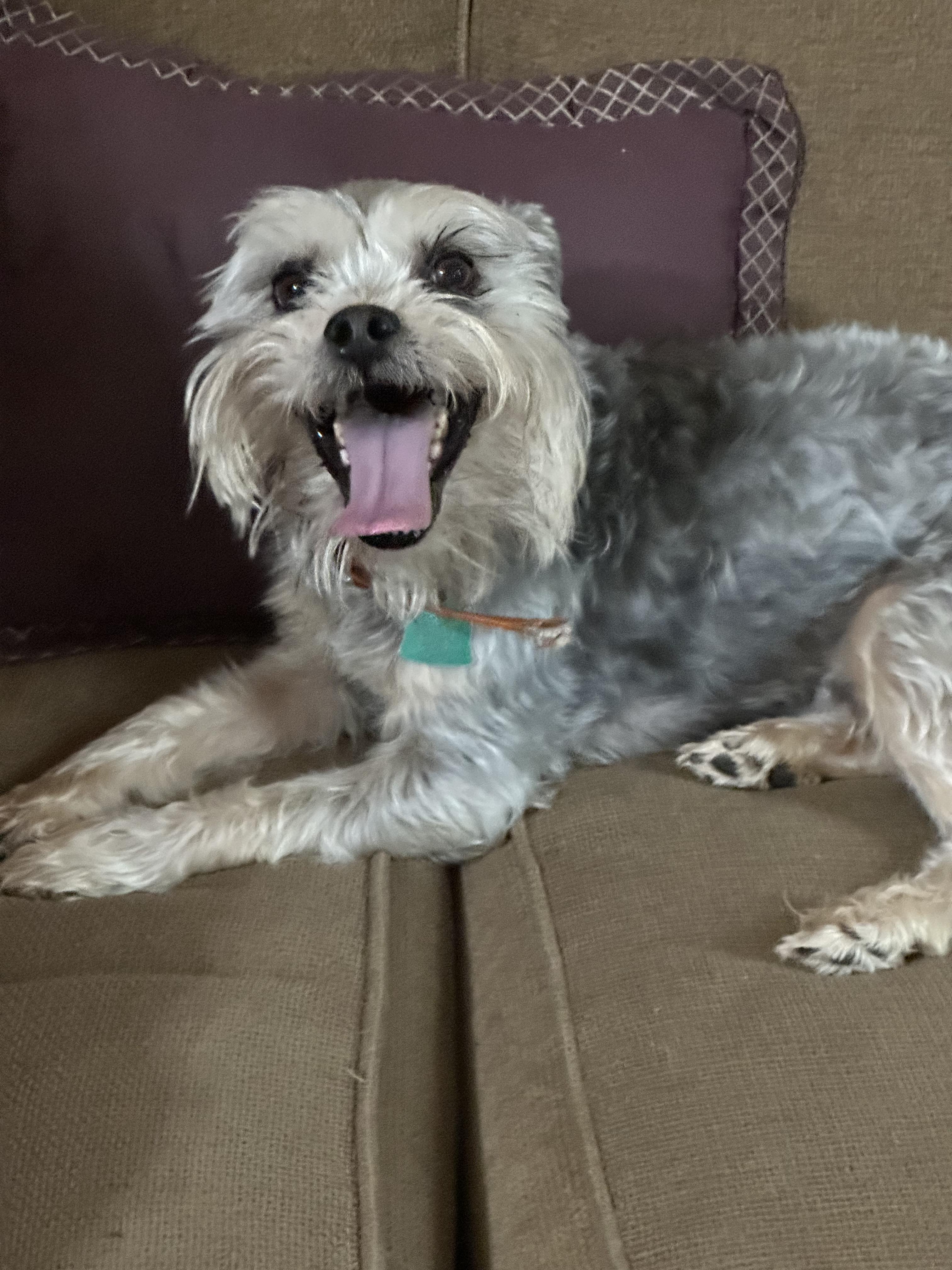 Ginger + Noah — thumbnail 2