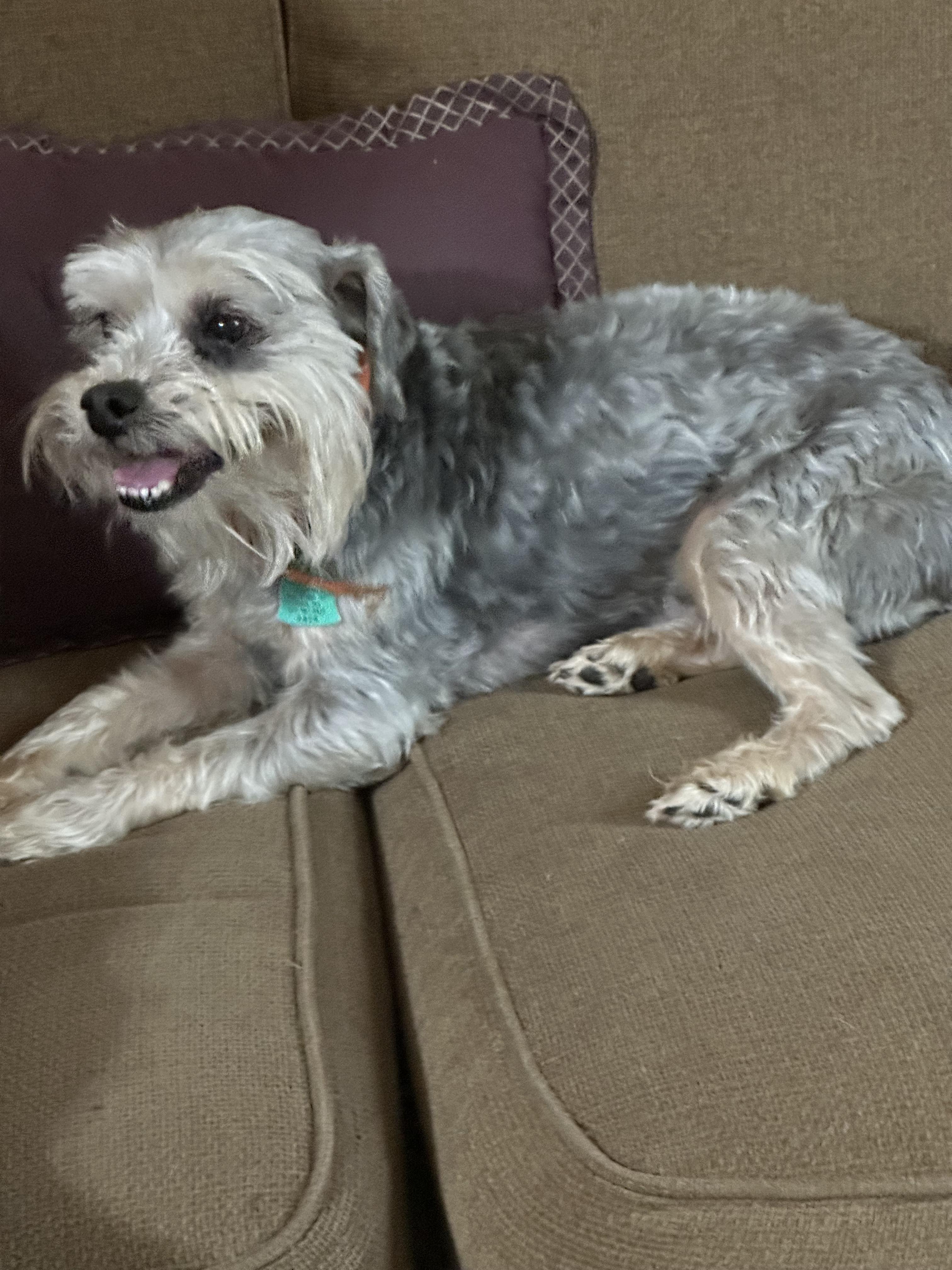 Ginger + Noah — thumbnail 5