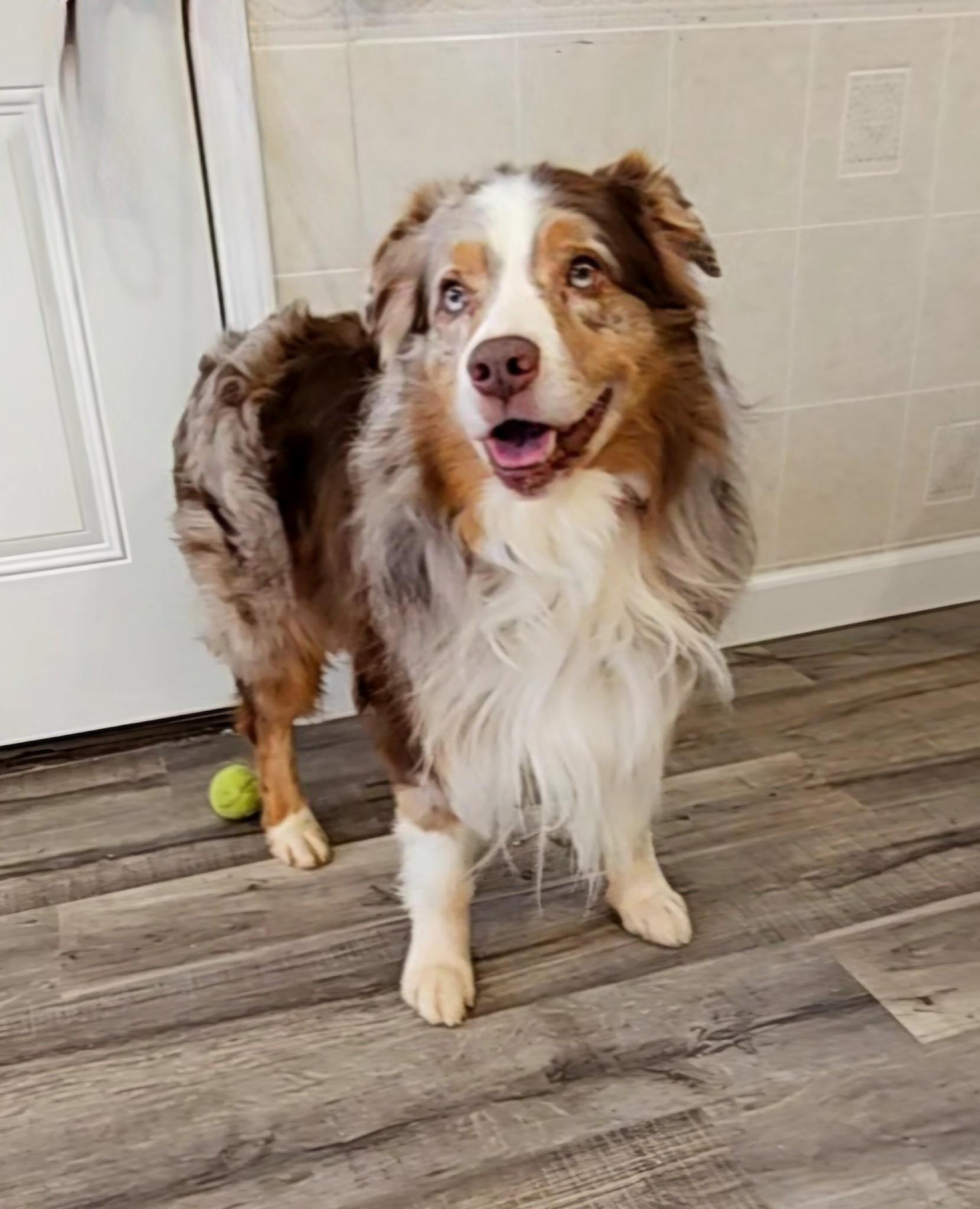 Theo (and Daffy Dill)