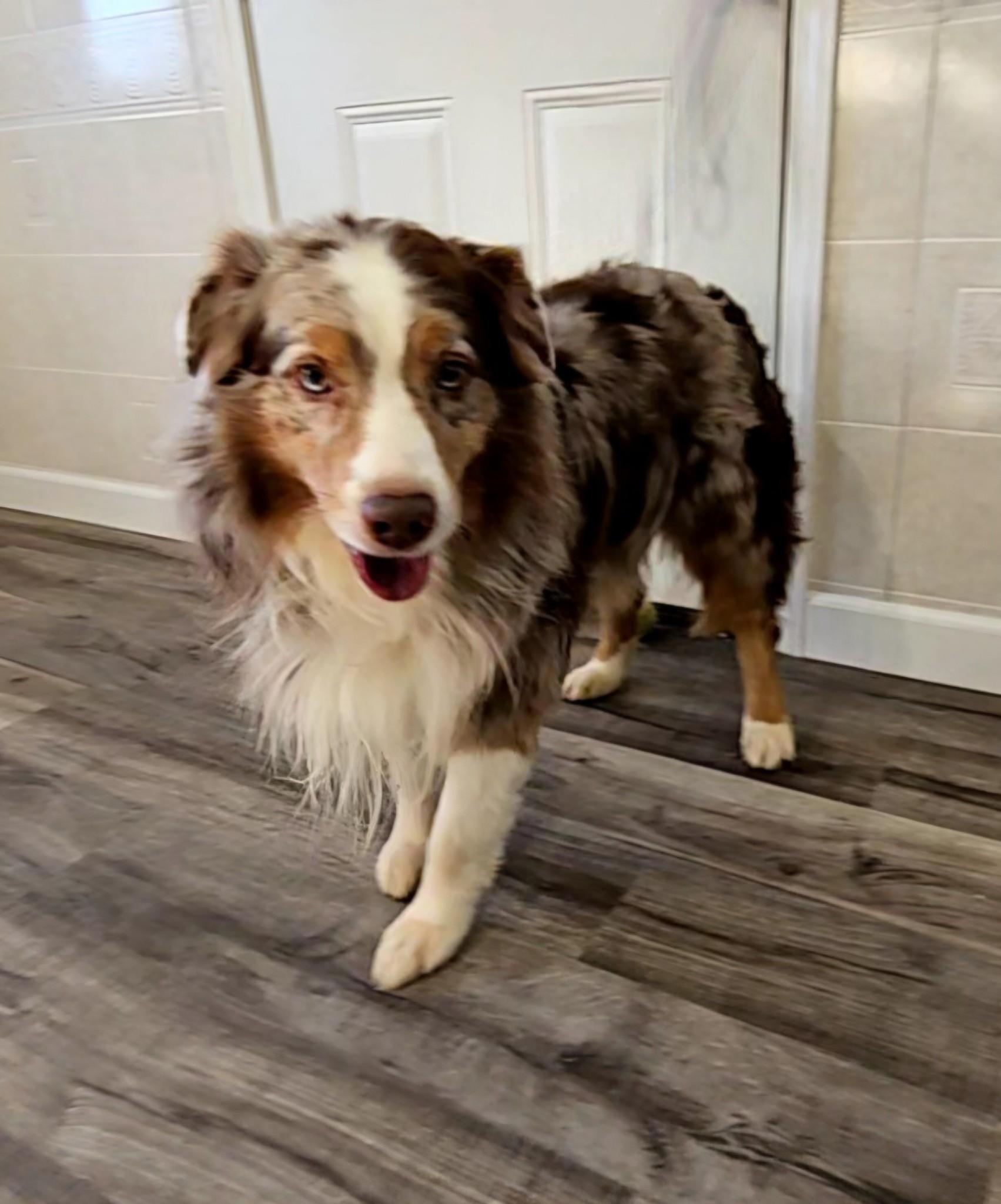 Theo (and Daffy Dill)