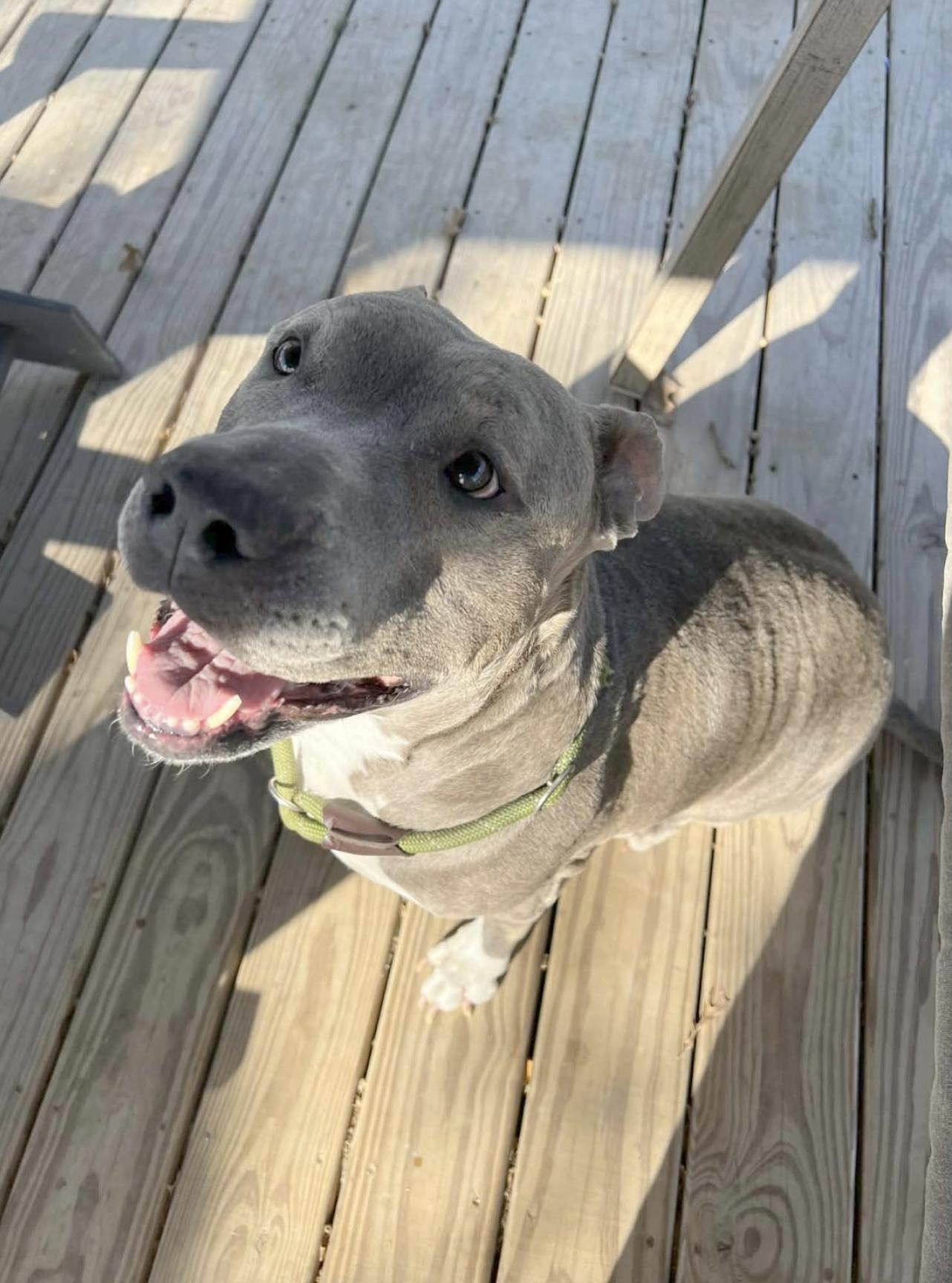 Princesa — thumbnail 3