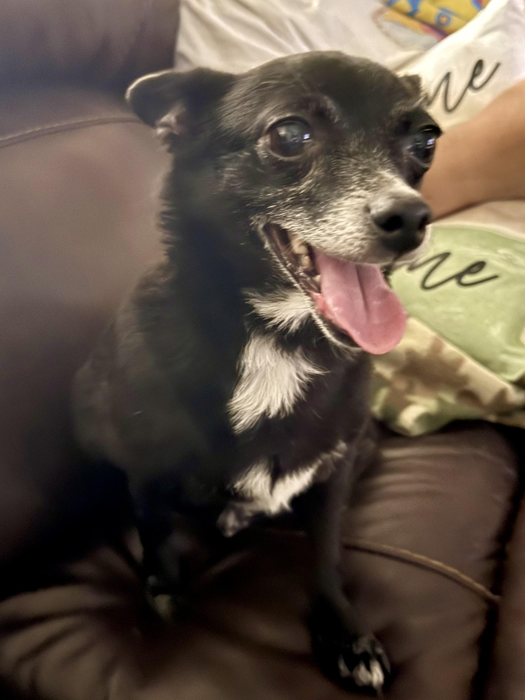 Elphie