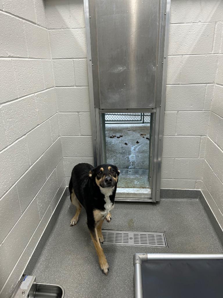 Cleopatra — thumbnail 2